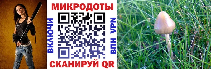 Псилоцибиновые грибы GOLDEN TEACHER  наркота  нарко площадка наркотические препараты  Александров 