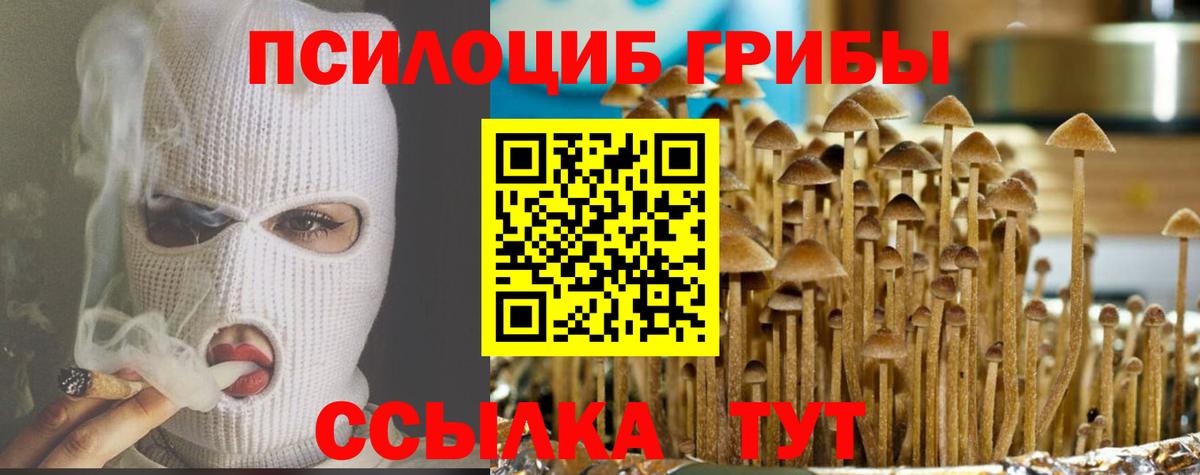Галлюциногенные грибы мицелий Александров