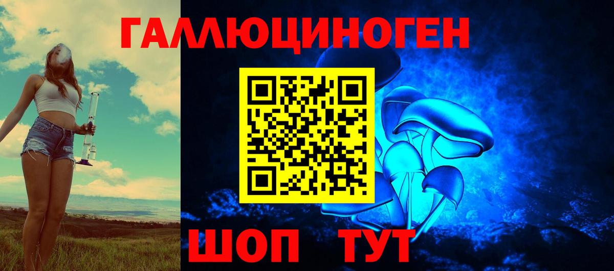 Александров  Галлюциногенные грибы MAGIC MUSHROOMS  Вход с VPN 